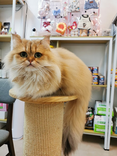 Meow and Me Cat Grooming Service