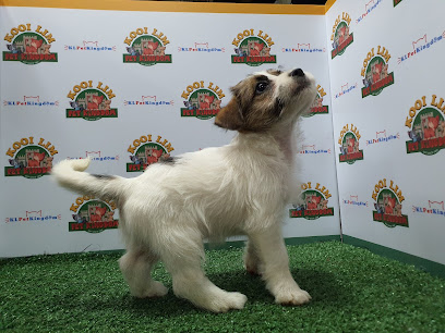 Kooi Lim Pet Kingdom @ Mega Mendung