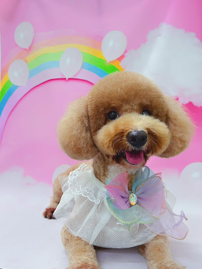 Pearl Pets Grooming House