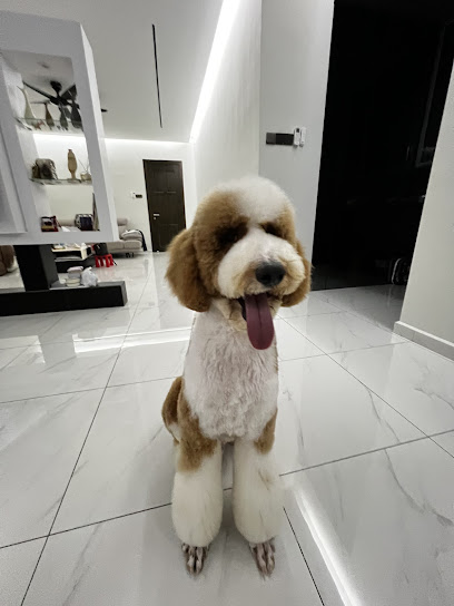 Petsagram Professional Pets Grooming