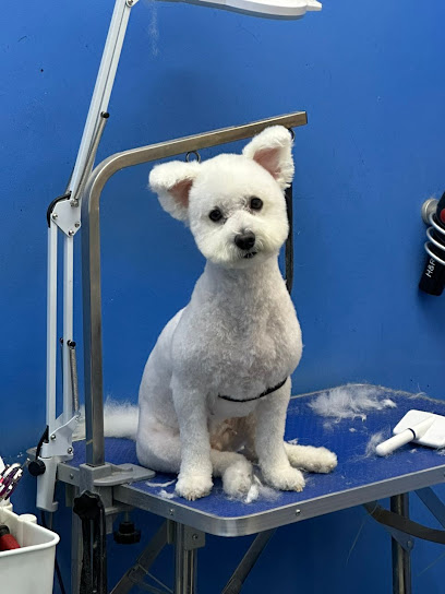 B B PET SALON