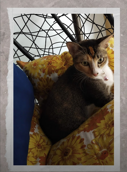 Pawsitive | YourPetBuddy
