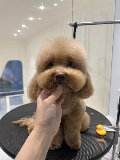 Jo Groomer – Ara Damansara