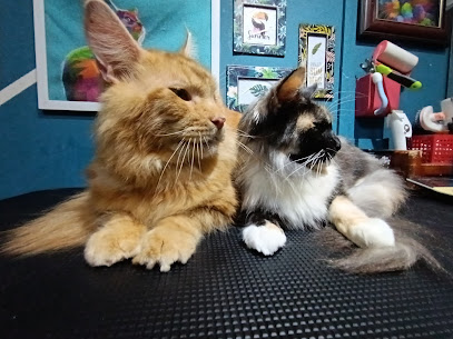 Pawsibilities Cat Hotel & Grooming