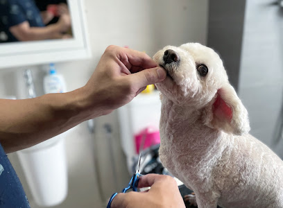 Furs Theory - Housecall Dog Grooming