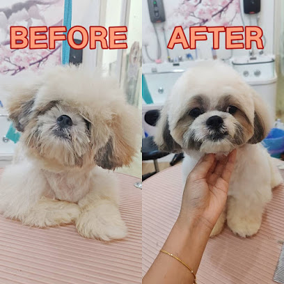 PetsValley Kennel Puchong 微利宠物铺 - Pet Hotel , Grooming , DayCare , Boarding & Retail