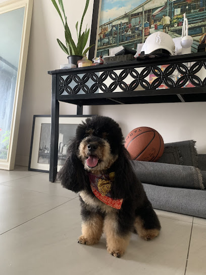 Pets Repawblic