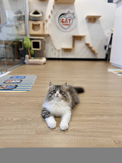Cattesori Cat Hotel & Grooming