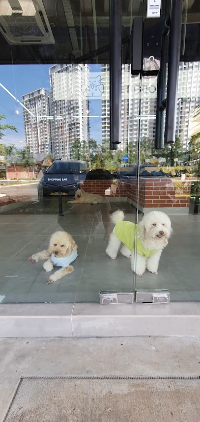 Black Nose Pet Shop