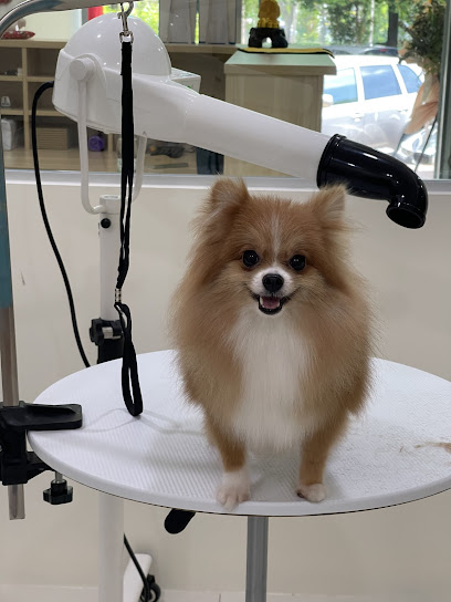 Muachi & Friends Pet Care Centre