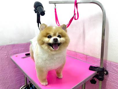 Sweet Paw Maison - PJ Pet Grooming & SPA
