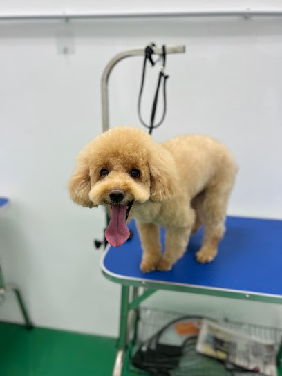 Pet n Pat Shop Grooming Boarding Retail @ 16 SIERRA PUCHONG