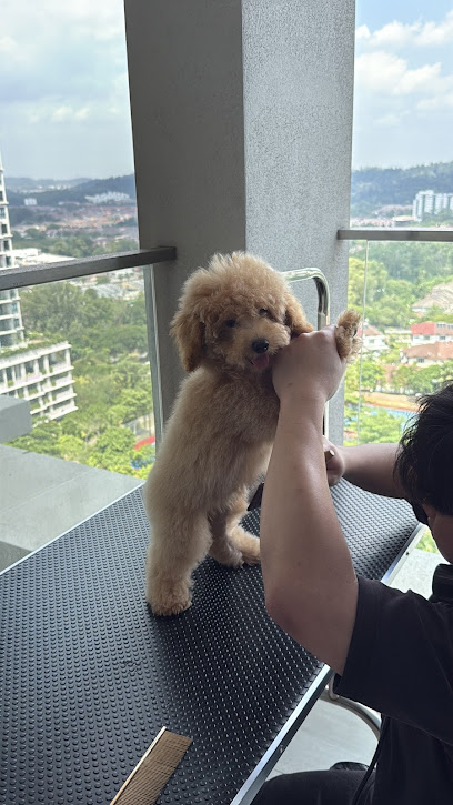 DiDio grooming