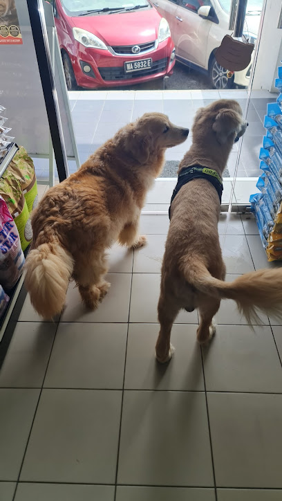 Caring Paws