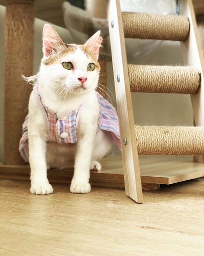 CATZCAPE