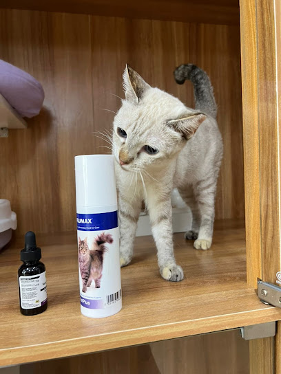 The Tails Zone - Cat Hotel - Boarding & Grooming