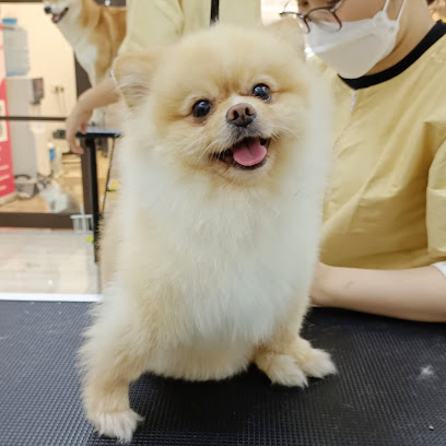 Yee Pet Grooming Salon