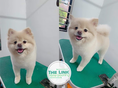 TheLink Pet Home Grooming