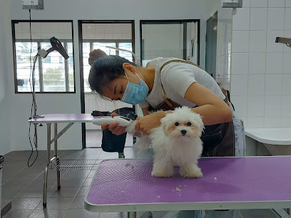 Grooom Pets Studio
