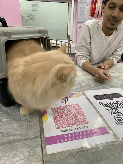 FLUFFY LAND CAT GROOMING & BOARDING CENTER